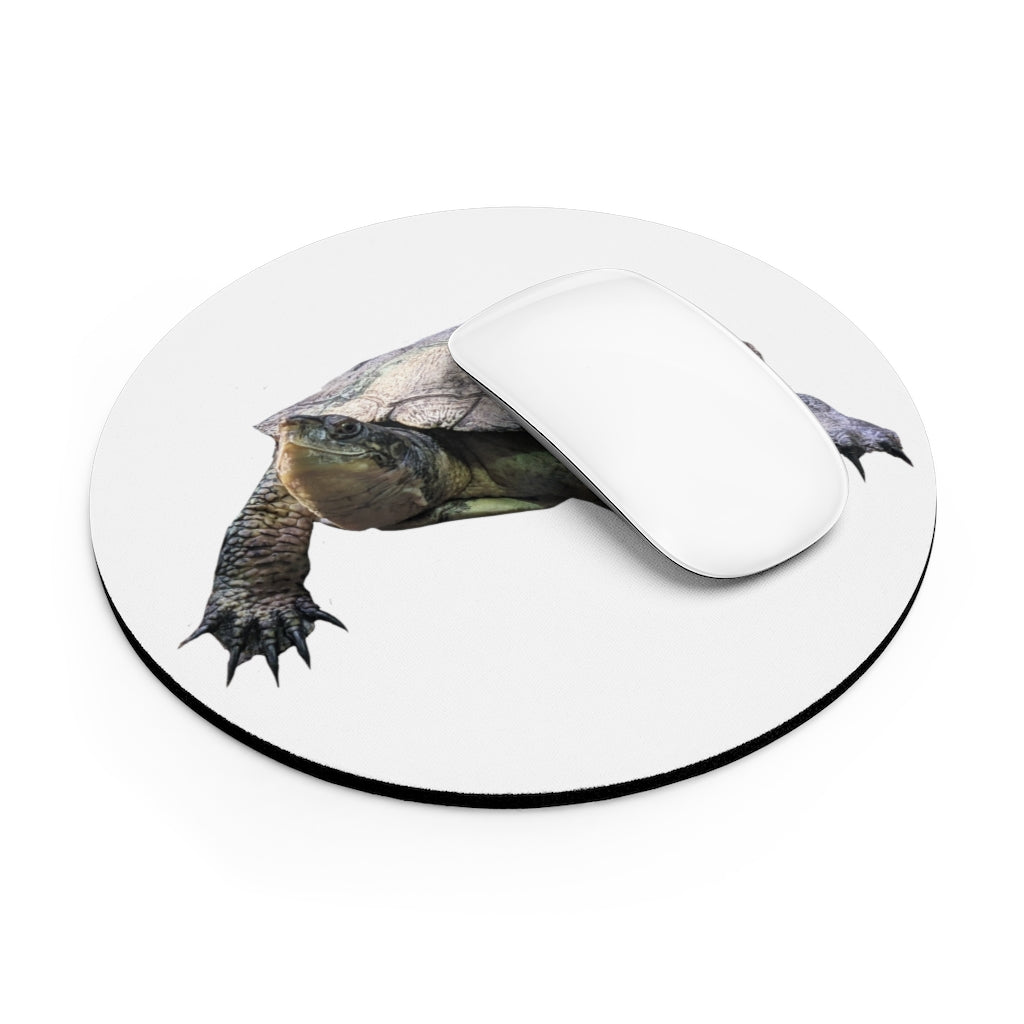 Turtle Mouse Pad