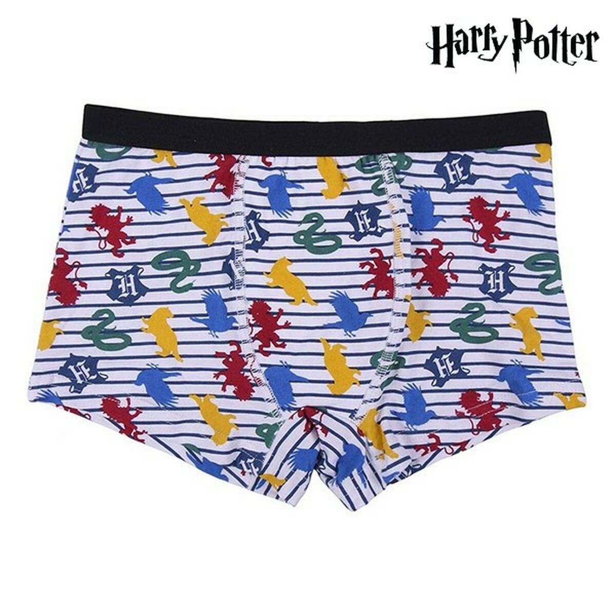 Pack of children's underwear Harry Potter (4 pcs)