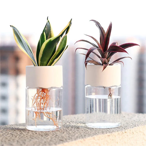 Mini Hydroponic Flower Pot Home Vase Decor Transparent Imitation Glass