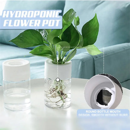 Mini Hydroponic Flower Pot Home Vase Decor Transparent Imitation Glass