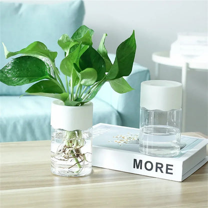 Mini Hydroponic Flower Pot Home Vase Decor Transparent Imitation Glass