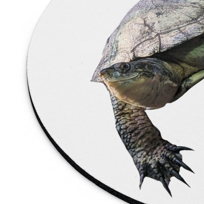 Turtle Mouse Pad