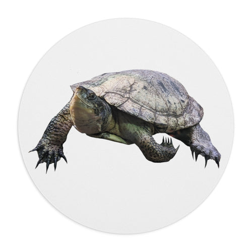 Turtle Mouse Pad